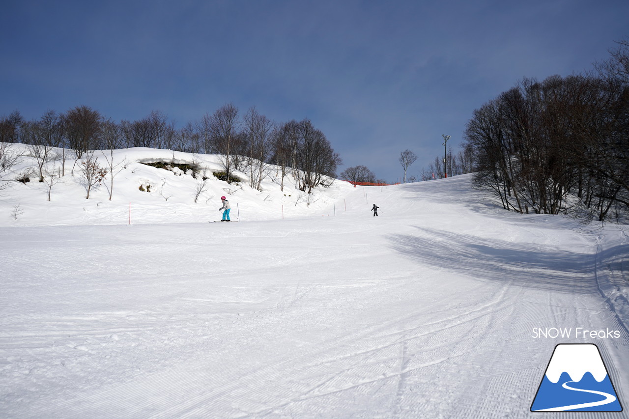 北海道ローカルスキー場巡り 2019 ～ 石狩平原スキー場(当別町)・北海道グリーンランドホワイトパーク(岩見沢市)